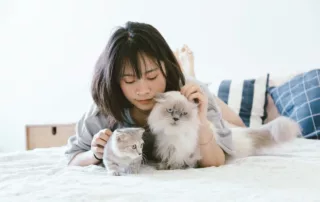 An Asian woman pets two long haired cats while lying on her bed.