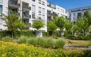 garden area with flowers and plants around apartment buildings during a sunny day